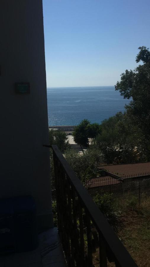 Tenuta Taurianum Panoramichouse E Panoramicb&b * Palmi