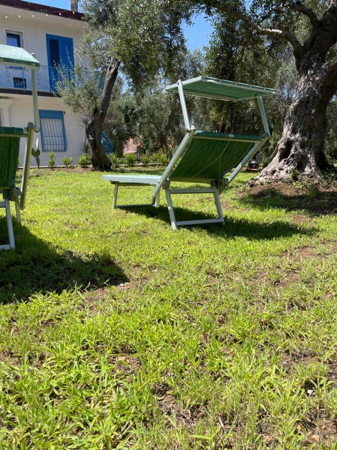 Tenuta Taurianum Panoramichouse E Panoramicb&b Holiday home *
