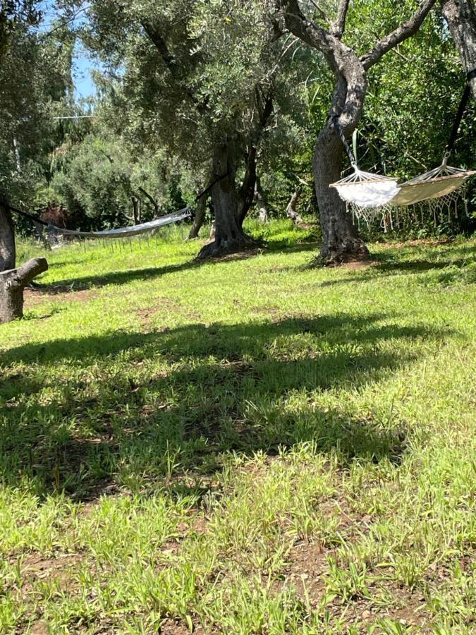 Tenuta Taurianum Panoramichouse E Panoramicb&b Palmi